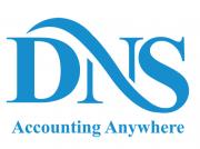 DNS Accounting Services logo