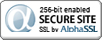 Wildcard SSL Certificates