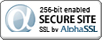 Wildcard SSL Certificates